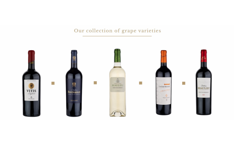 这些参展企业首次来华在糖酒会上寻求合作商！